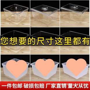 ����������ɢ�b��ʳƷչʾ�и�͸�����w��к��ռ{���ǹ��ɹ�����