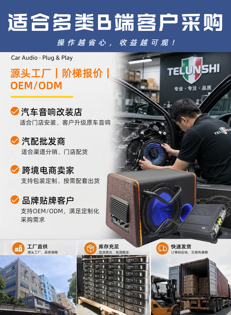 Source Factory 10inch Trunk Wooden Box Active Subwoofer 12V High Power In-stock Wholesale OEM Customization Wholesale