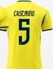 Brazil home number 5
