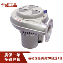 ����C�L�C ȫ�~�����L�C����϶��L܇ �϶��R�_ ����Ͱ���L�C