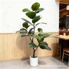 �������m�����Ա��W�L�٘����~�����Ƶ��b�չ�d�ٻ�ˇ��ľGֲ