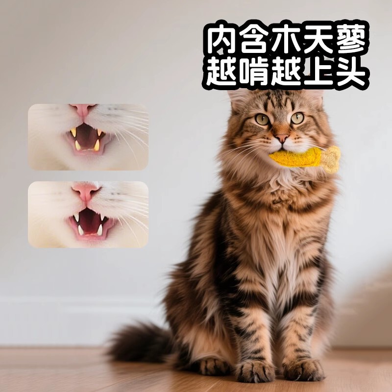 ヘチマ猫おもちゃ、退屈解消グッズ、猫おもちゃ、噛むおもちゃ、猫のおもちゃ、子猫の歯ぎしりおもちゃ|undefined