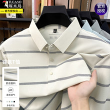 ��ľ�B�l�y��ʿPOLO���L��T�����I2026�¿��������ְ��b�w��