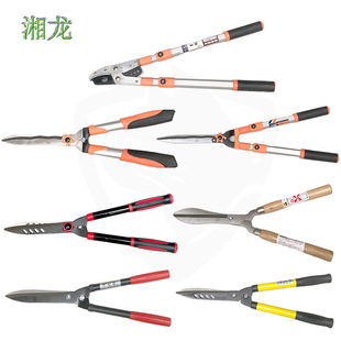 �@ˇ��֦���޾G����ƺ�G�h���󻨼�@�ּ�֦�����޼���֦���ü���