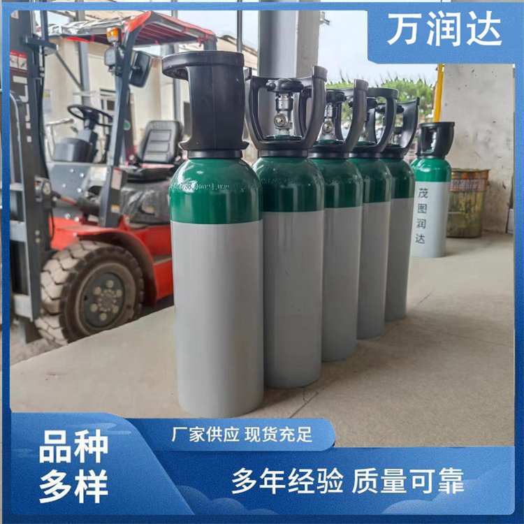 标准气体厂家 湖 北武汉 环境监测标气 多种规格 万润达