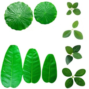 ����Ž��~���~�����G�~��ˮ����|���b٘��~�������С�~��