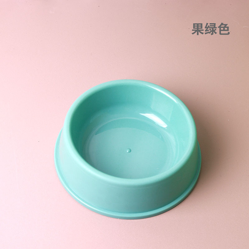 둥근 고양이 그릇 과일 녹색