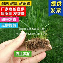 ��ƺ�N��ͥԺ�e���ͺ��ļ������޼���Ƥ�����o�º����ݾG������