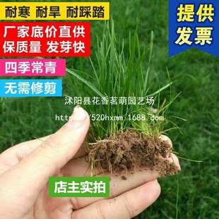 ��ƺ�N��ͥԺ�e���ͺ��ļ������޼���Ƥ�����o�º����ݾG������