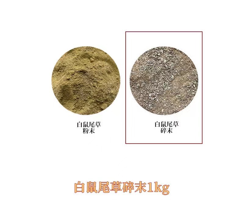 天然の白い鼠の尾の草のアメリカのカリフォルニア州のwhiteageの香薫の杖の雪の松の杖の縛りの空間の卸売りはまたがります。
