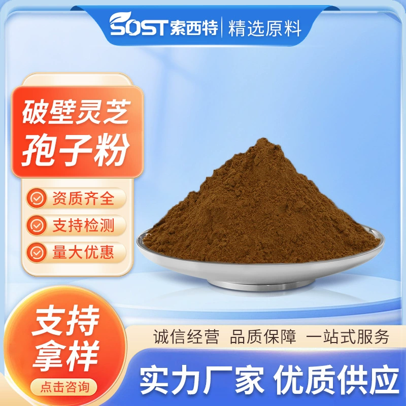 Сломанная стена порошка спор Ganoderma lucidum