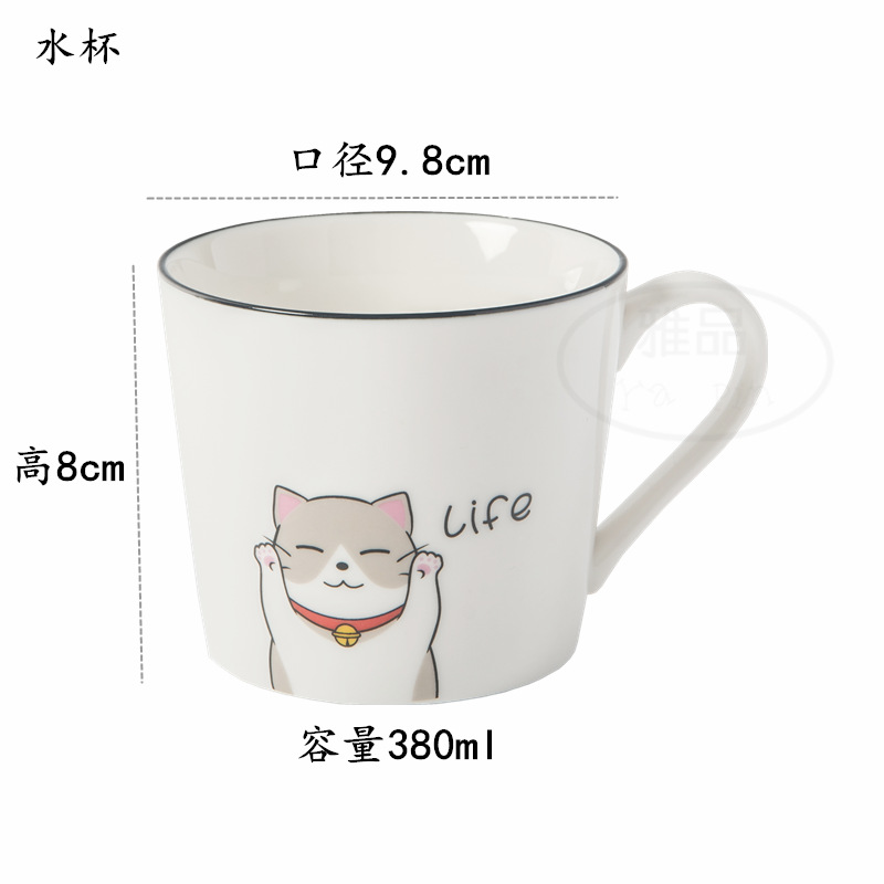 물 컵 리 고양이 싱글 고양이