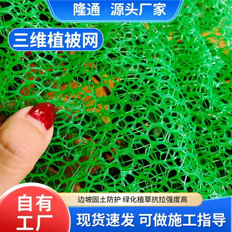 HDPE三维植被网 边坡防护植草固土绿化复合加筋 三维植被网厂家