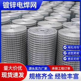 热镀锌电焊网厂家建筑工地内外墙面抹灰防裂焊接镀锌电焊网铁丝网