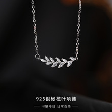 2024���p���L�����ƷС�����ϙ���~�荵���s925���y��Ů�羳