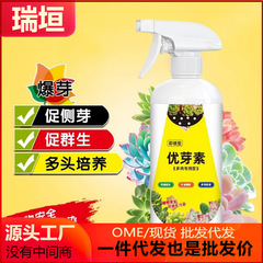 優芽素家庭用養花肥料多肉専用葉挿し促芽催芽多肉爆芽素緑植物栄養液