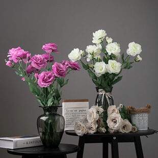 �S��4�^��۹������l���滨�Ҿ��b�c�������ٻ�DY-397