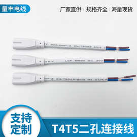 现货led灯_连接线插头线 二芯日光灯管 t8非标生产加工