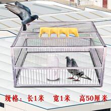 捕鸽神器抓鸽子笼全自动只进不出天落笼自动跳门撞门笼鸽子用具