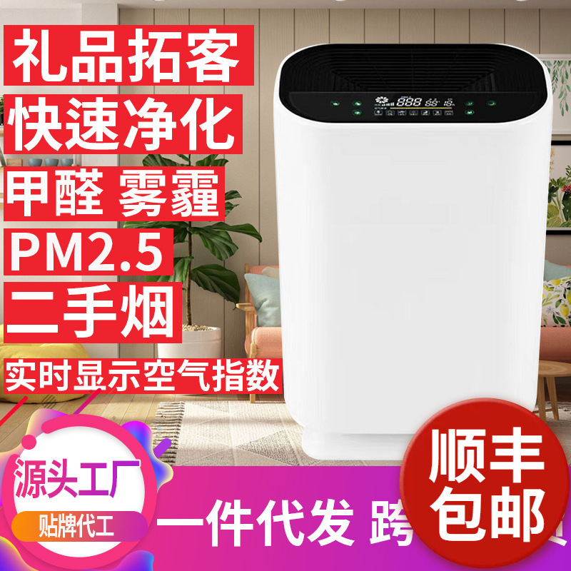 Anti-allergy Pet Household Negative Ion Air Purifier Sterilization Removal of Formaldehyde Odor Absorbing Cat and Dog Hair