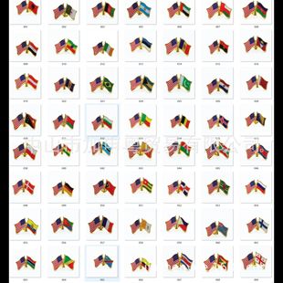 �F؛ USA Friendship Pin  �����p�� ���� ���Ї��� 32X21MM
