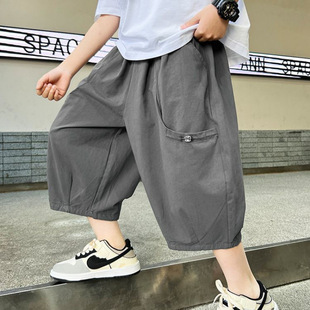 [Hot Selling in Store] Boys' Gray Pants Summer Thin 2025 New Children's Summer Shorts Big Children's Summer Clothes Seven