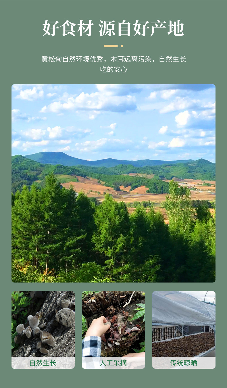 1吉林黄松甸极品黑山秋木耳详情_02.jpg