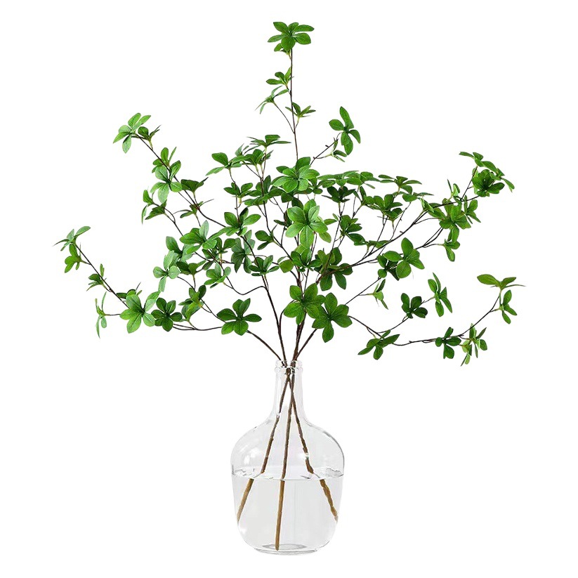 Botella de vidrio simple, boca pequeña, jarrón de barriga grande, reloj colgante de madera de caballo borracho, arreglo floral, decoración de la sala de estar, decoración hidropónica, gran