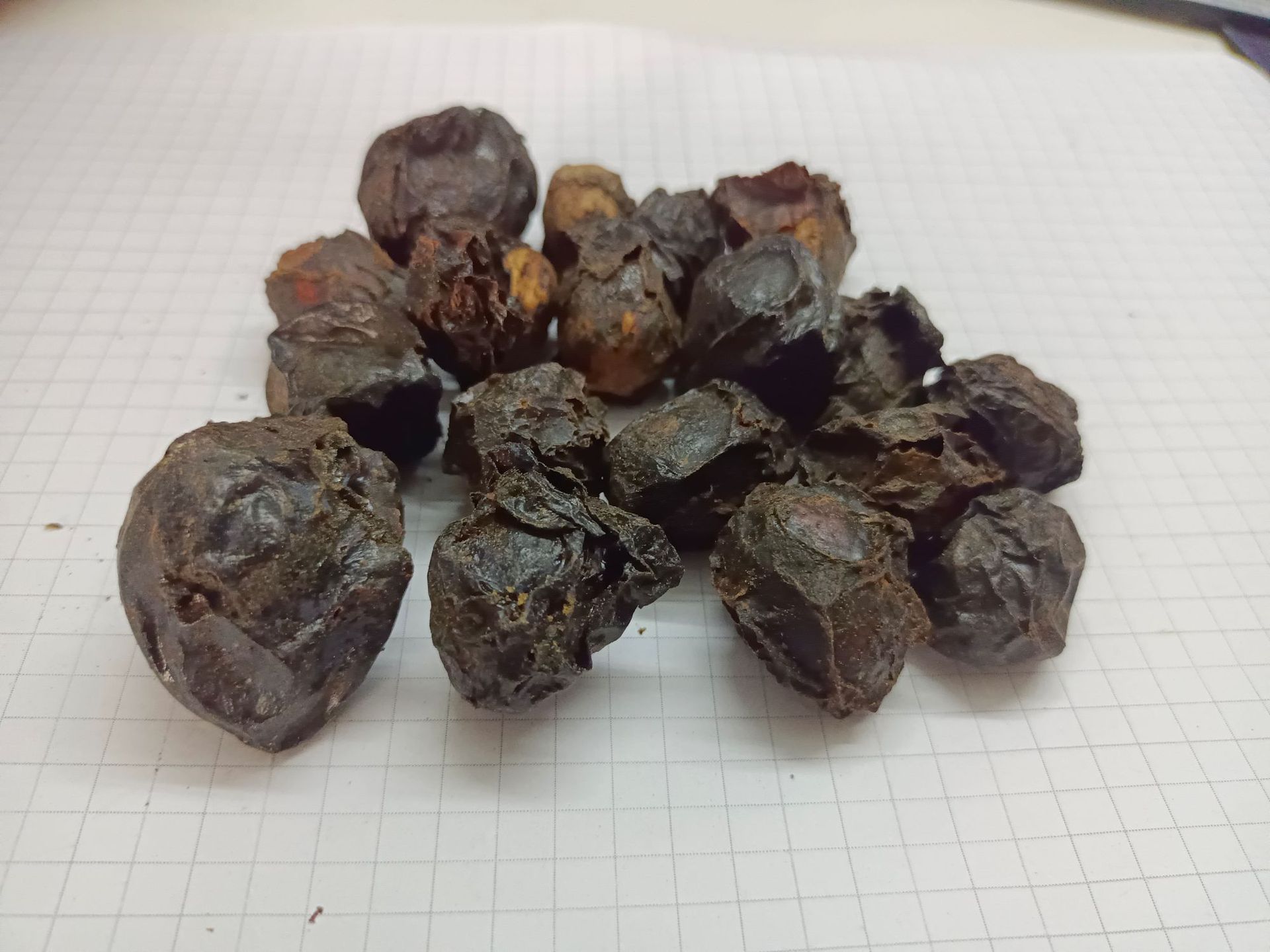 广枣guangzao产地海南9月产新24元每公斤包邮批发价南酸枣鼻涕果-阿里巴巴