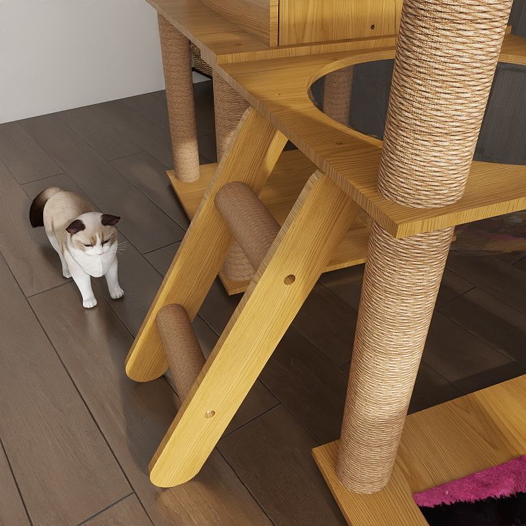 558318e5-6ee7-4071-baa2-455c418b00f4.jpe