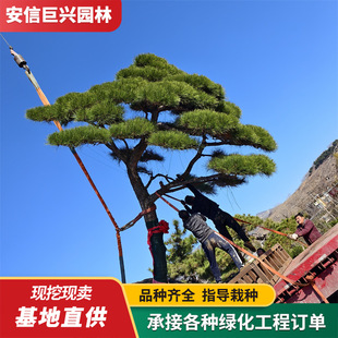 ��ƷͥԺ��ͥԺ����С�^�G��������4��5�������Ʉe������