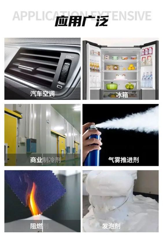 微信图片_20250123141217