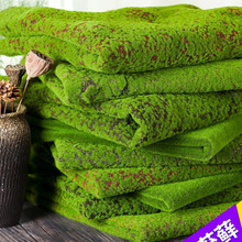 ̦�\��̦�����������ƺ��Ƥ΢���^�Gֲ���b��쾰���辰���