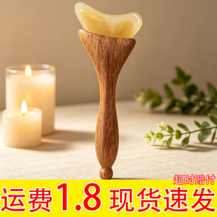 ������ܽ���۲���Ħ�沿������cѨλ������ǹ���匍ľ�ֱ�