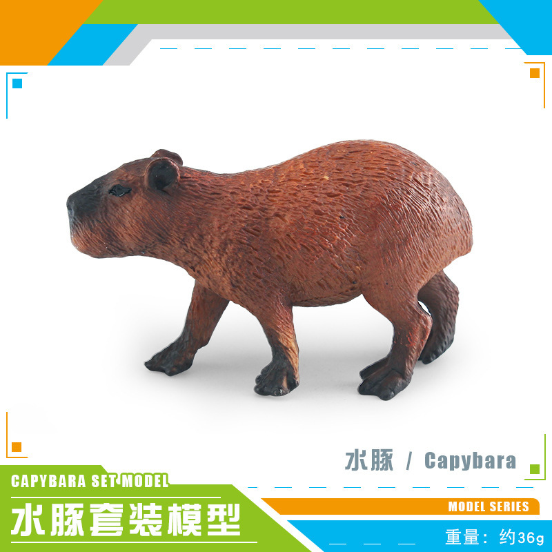 Simulación transfronteriza de animales forestales modelo de delfín de agua cognitivo infantil delfín de agua decoración de plástico estático juguete de decoración de mesa