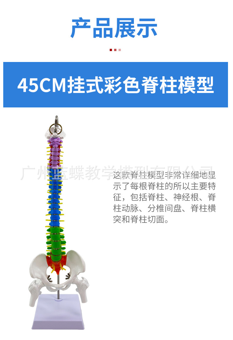 详情_06