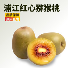 四川蒲江红心猕猴桃代发新鲜水果当季批发10斤装红心猕猴桃奇异果