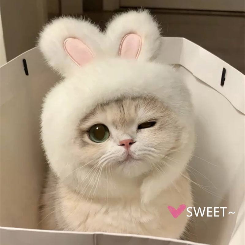 猫咪可爱兔子头套耳朵可立帽子网红英短可爱拍照小狗头饰宠物变装|undefined