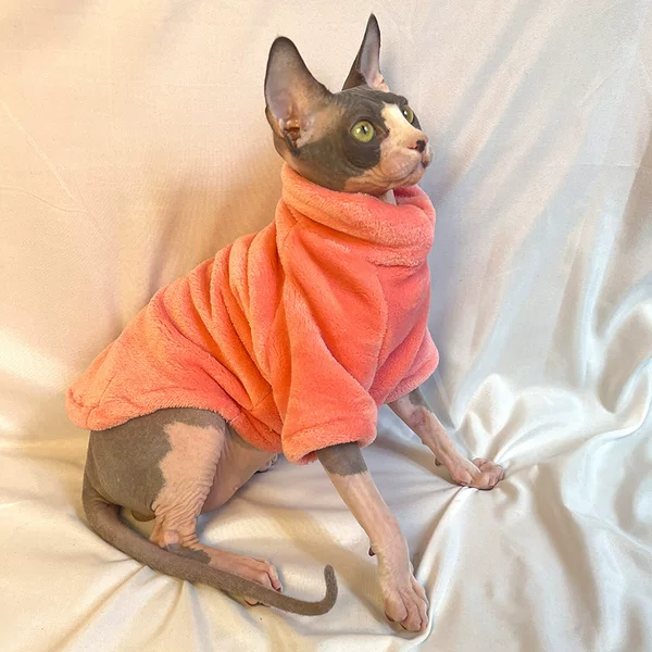 Hairless Cat Clothes Autumn and Winter Thickened Sphynx Cat Clothes Wholesale Devon Mink Velvet Base Warm and Comfortable