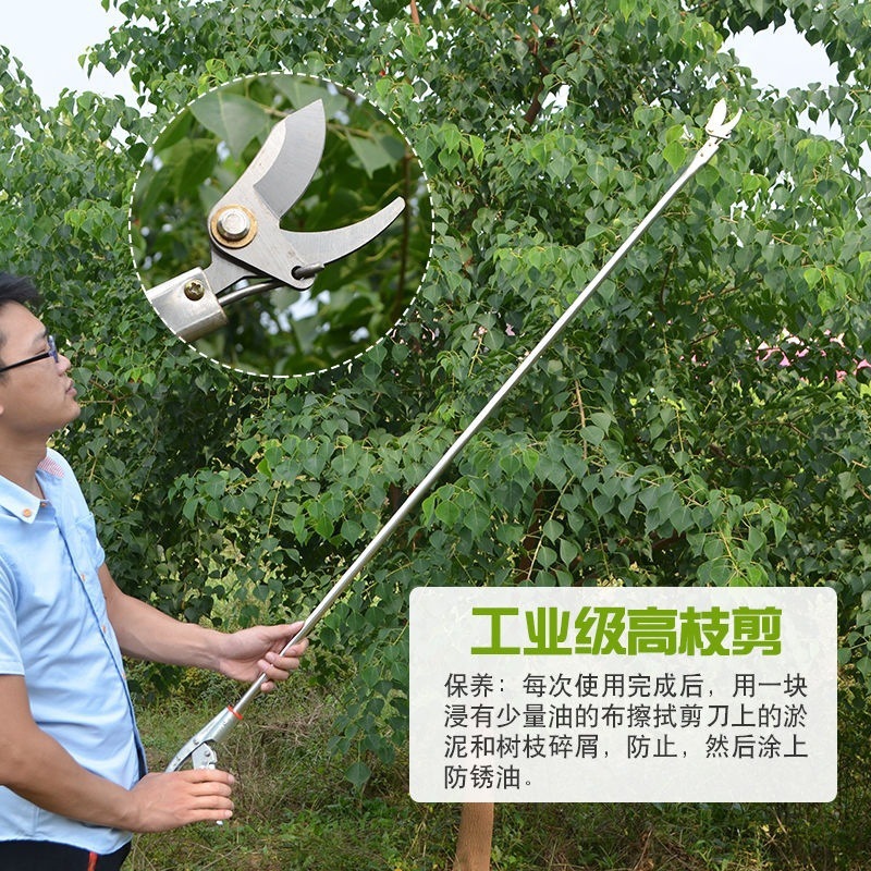 修树枝剪刀 高空剪高枝剪修枝剪不锈钢修剪疏果剪枝槐花槐米