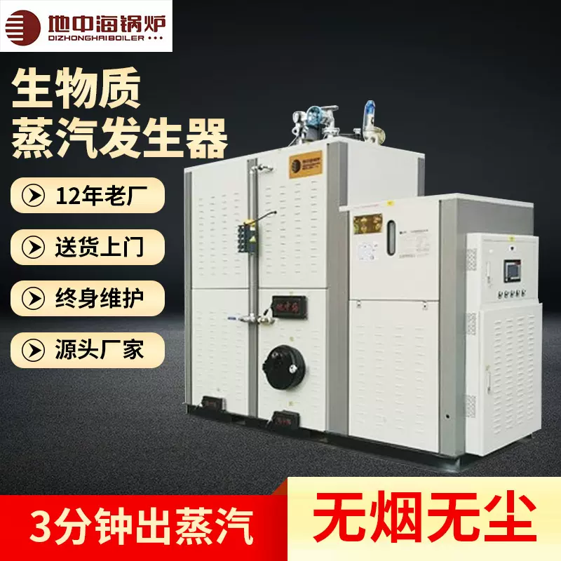 地中海原厂家全自动桥梁小型颗粒生物质蒸汽发生器商用蒸汽锅炉
