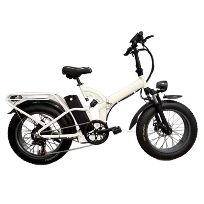 Bicycle Export Manufacturer, Qatlanan elektrik velosipedlər