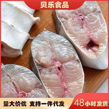 大鲅鱼马鲛鱼新鲜鲜活冷冻鲅鱼段海鱼海鲜批发厂家直销一件代发
