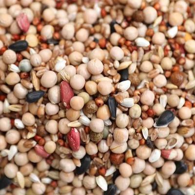 鸽子粮 赛鸽粮 营养丰富 品种齐全 批发