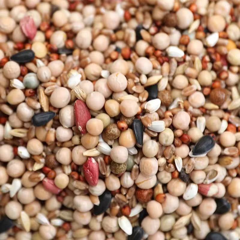 鸽子粮 赛鸽粮 营养丰富 品种齐全 批发