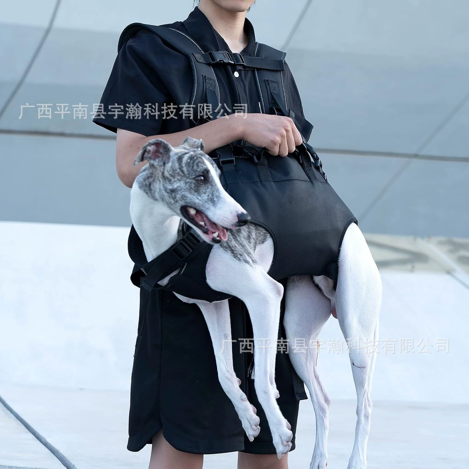 DONO горизонтальная сумка для домашних животных с двумя плечами, рюкзак для собак, сумка для собак маленького и среднего размера, удобная сумка для домашних животных для езды на велосипеде на открытом воздухе