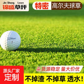 果岭草高尔夫球场草坪 高端门球草坪室内高尔夫训练球垫 果岭草皮
