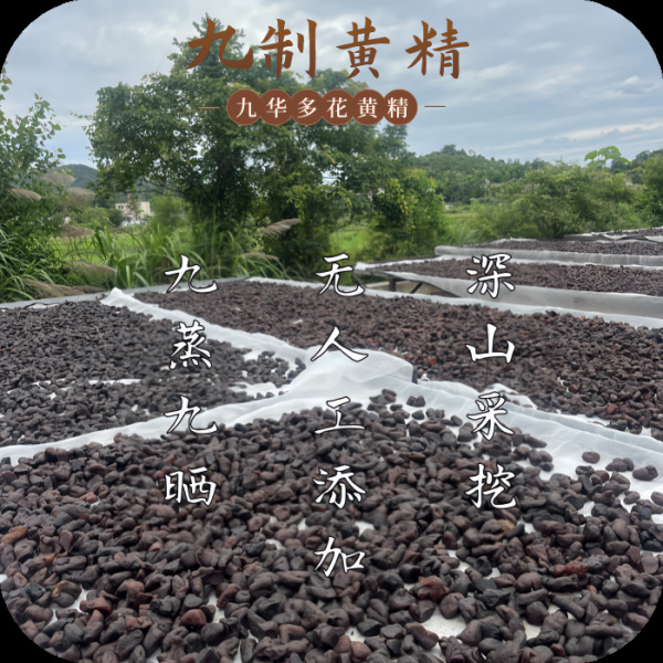 Premium Nine-Steamed Nine-Sun-Dried Huang Jing Whole Roots 500g Jiuhuashan Polygonatum overview