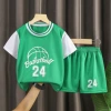 Copy sleeve green No. 24