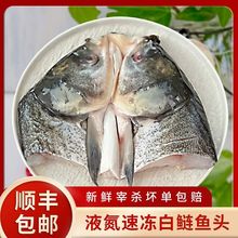 白鲢鱼头鲜活现杀大头鱼煲汤食材剁椒鱼头胖头鱼真空保鲜商用批发